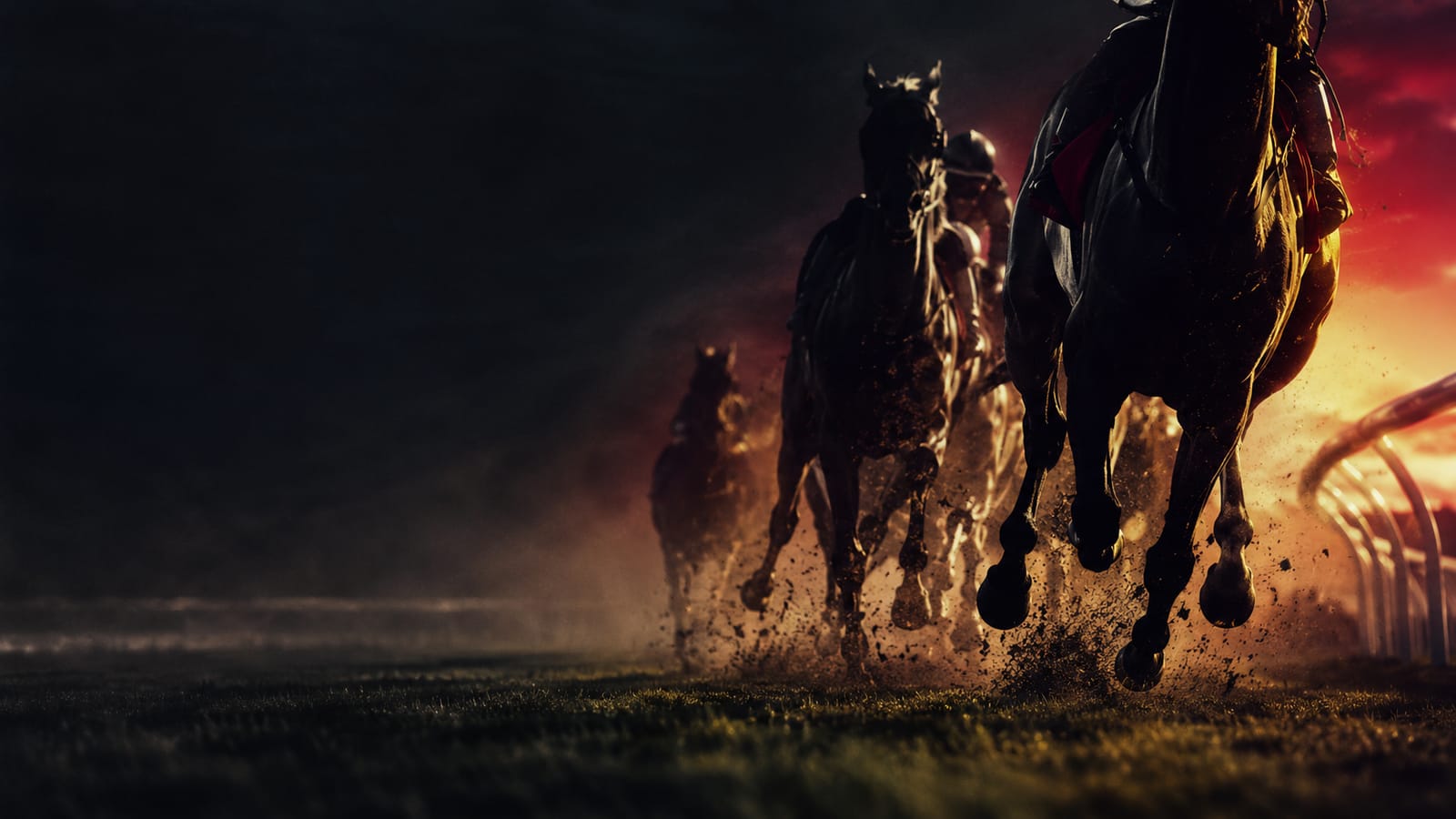 Thoroughbreds racing on a WA turf track